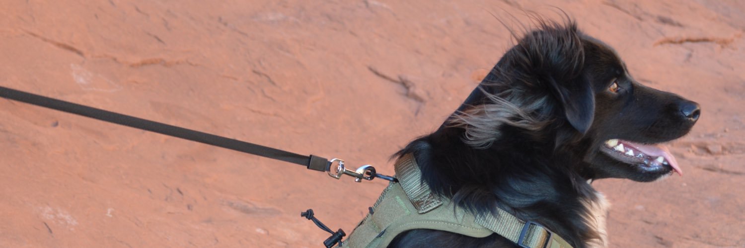 Brandonwermuth's profile banner image