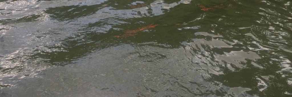 LukeParedes's profile banner image