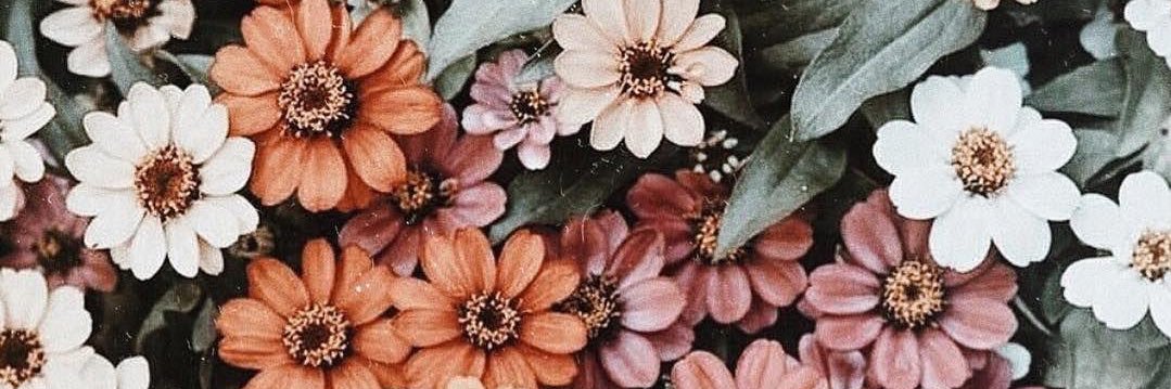 madpells's profile banner image