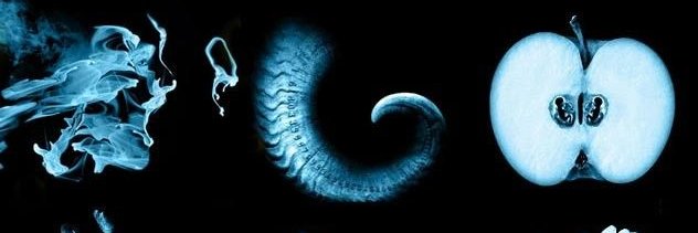 SyoCof's profile banner image