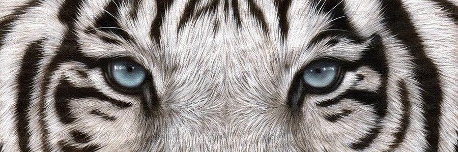 _dreyowen's profile banner image