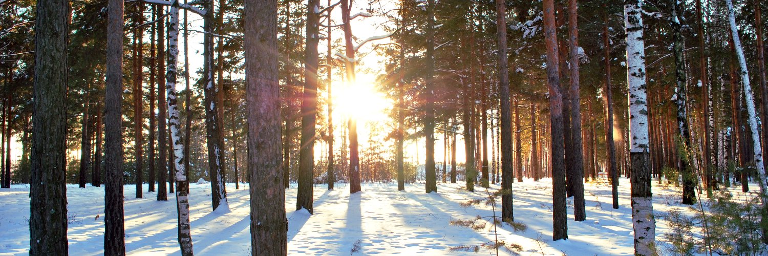 Prof_D_sciences banner