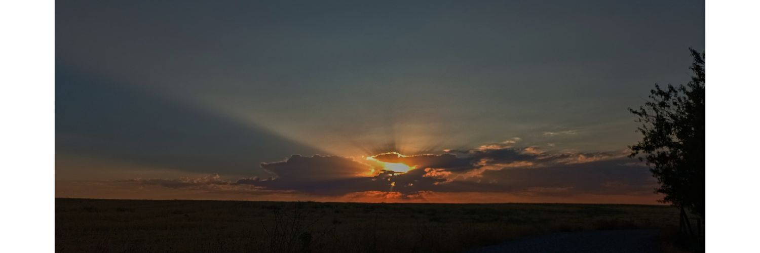 Carol_Rev's profile banner image