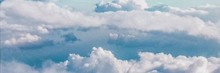 alshammei1's profile banner image
