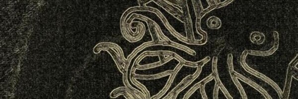 shorebot Profile Banner