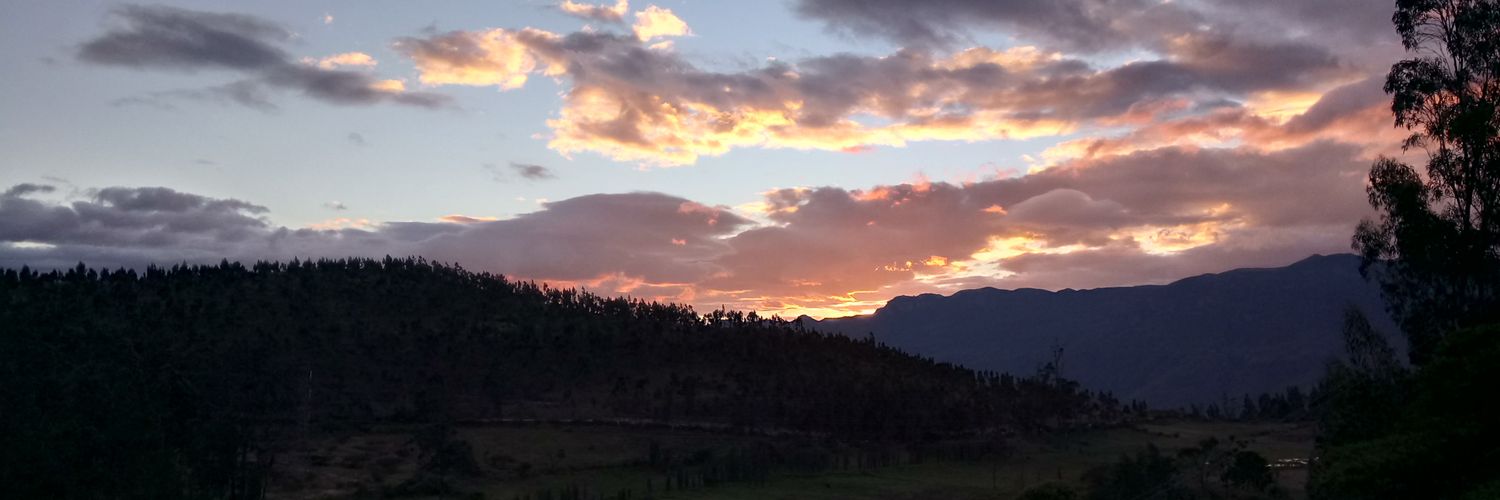 ppandres1's profile banner image