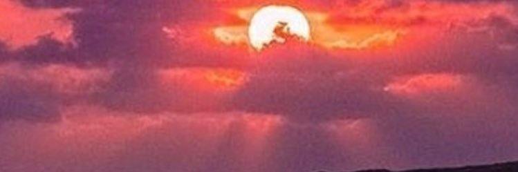packadamo's profile banner image
