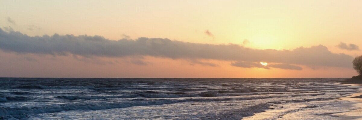 moalprado's profile banner image