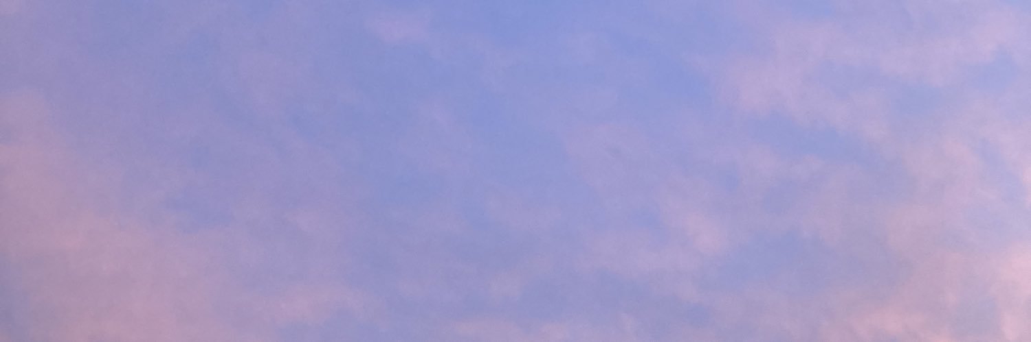 PerineDejonghe's profile banner image