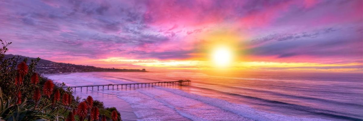 Bloom_nou's profile banner image