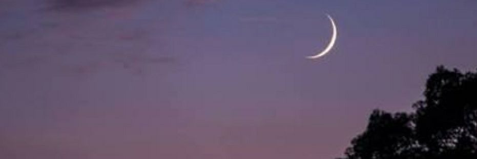 ismohd87's profile banner image
