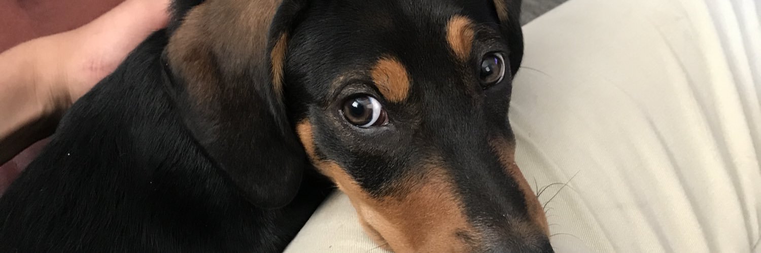 MeeksTrevor's profile banner image