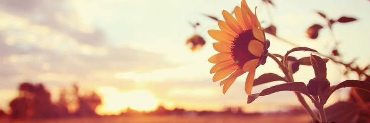 Sundasspeaks's profile banner image