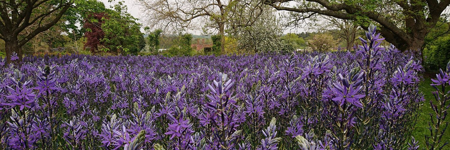 Rupert Wilson | @smartRGW on other platforms too banner