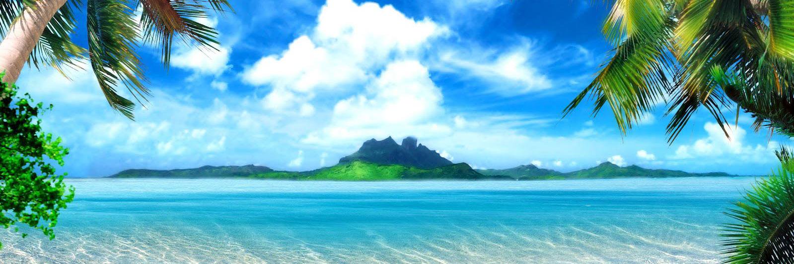 Daphine banner