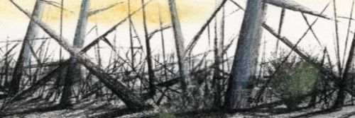 ghostuffing's profile banner image
