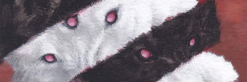 iJaaaao's profile banner image