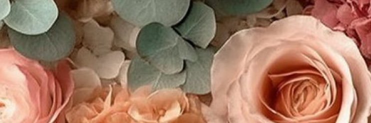 RealtorMelcher's profile banner image