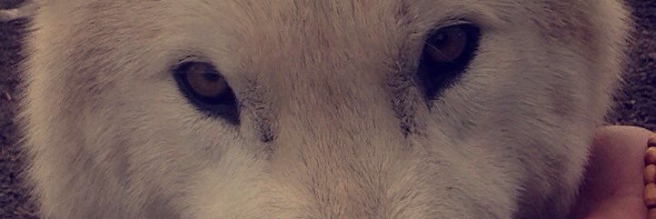 Bre_K12's profile banner image