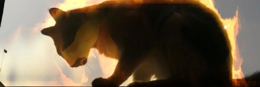 JesusAnSer's profile banner image