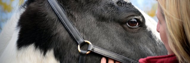 HazelHunt39's profile banner image