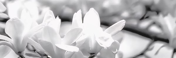 vespereine Profile Banner