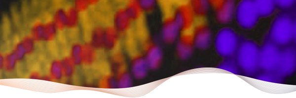 frequencytx Profile Banner