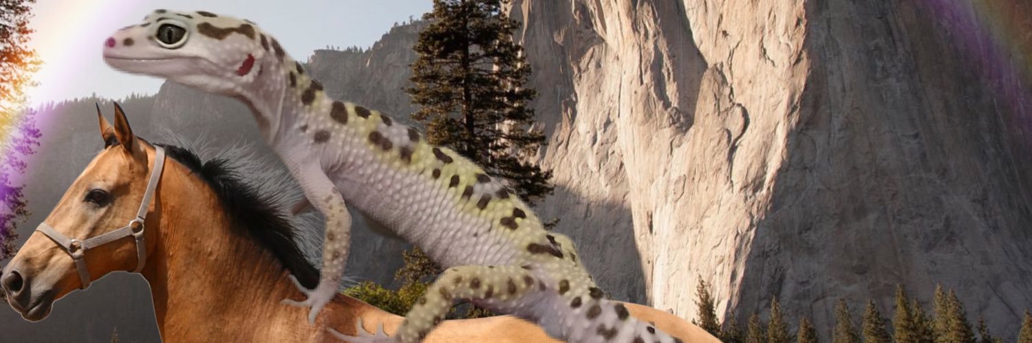 KSwift4's profile banner image