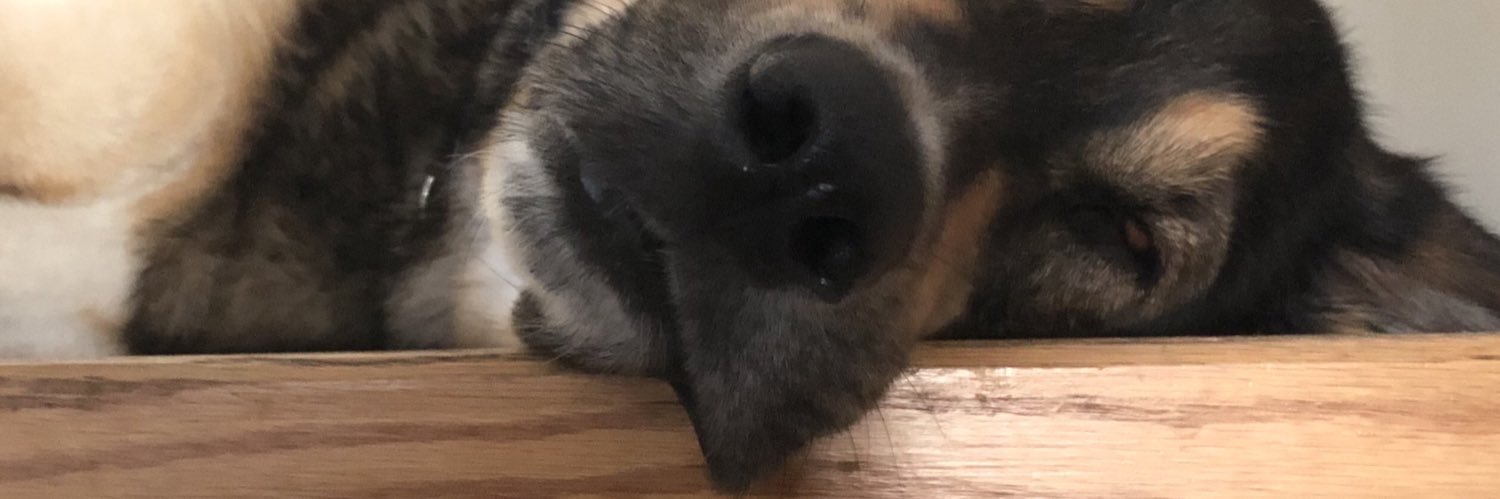 oliviaagabriele's profile banner image