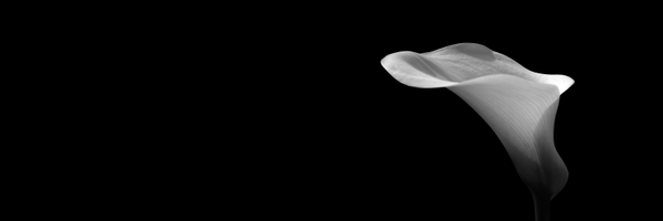 Ahsalihba Profile Banner