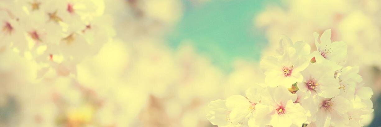 elyagaga's profile banner image
