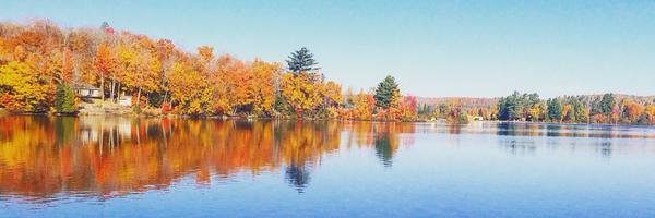 ChipJames4 Profile Banner