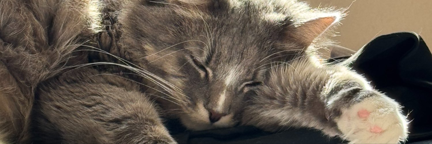 isabeljanbahan's profile banner image