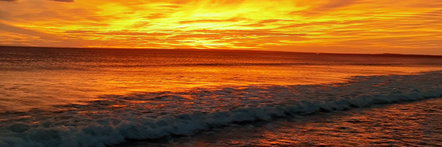 camilaesc2's profile banner image