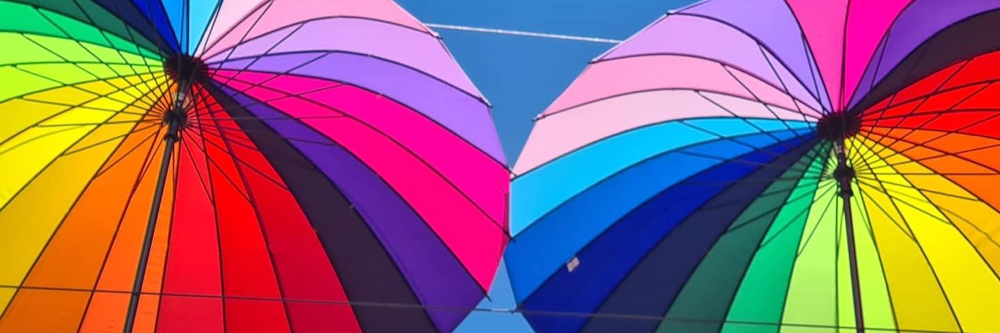 Sally Britton banner