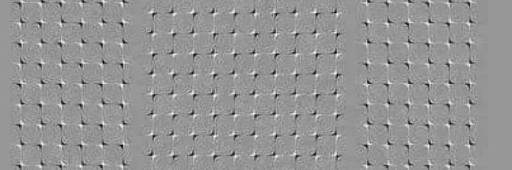 LorenzoPhFreeIn's profile banner image