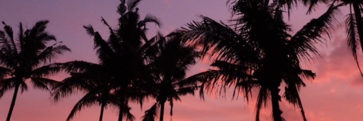 AnisaKasmaa's profile banner image