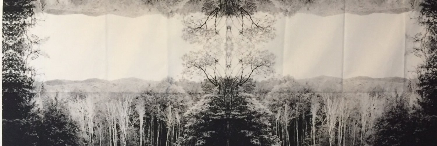 Liz_DeForest's profile banner image