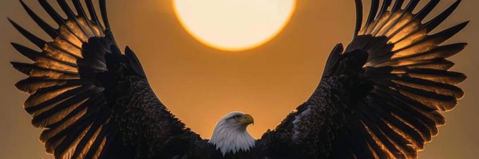 محمد الاحمدي ابو عمر banner