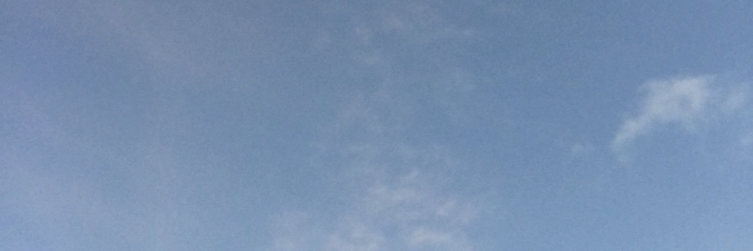 MJ banner