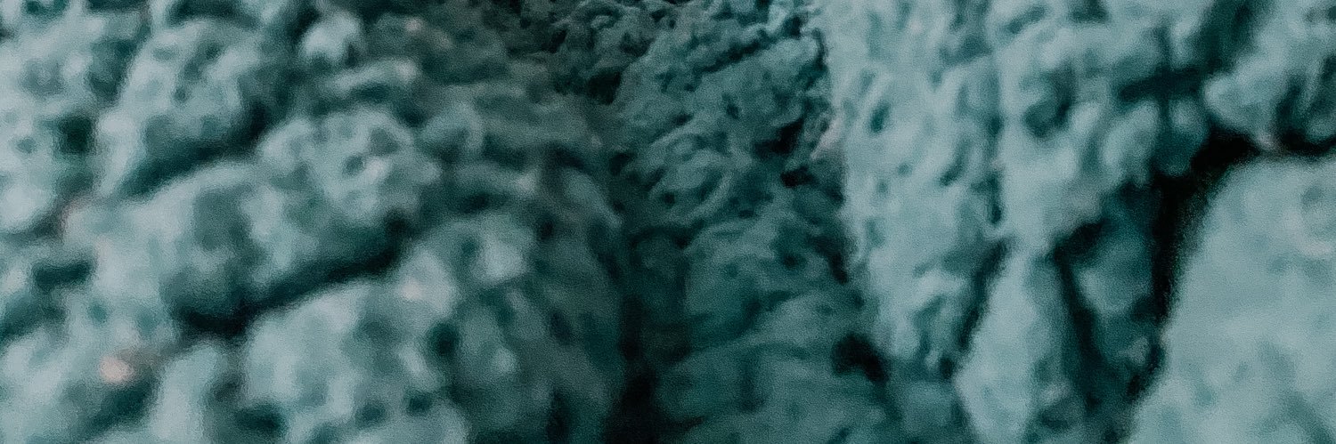 abigailRDW's profile banner image