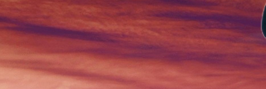 truecopy365's profile banner image