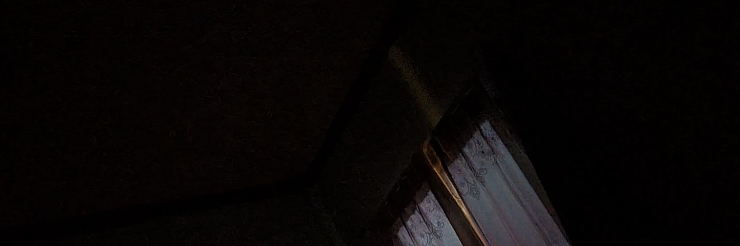 MaxRavenged's profile banner image