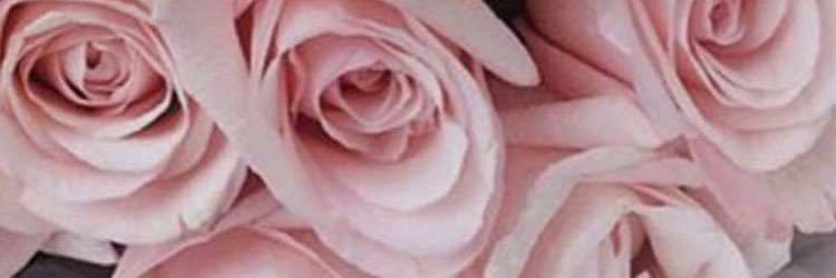 5Lexlex5's profile banner image