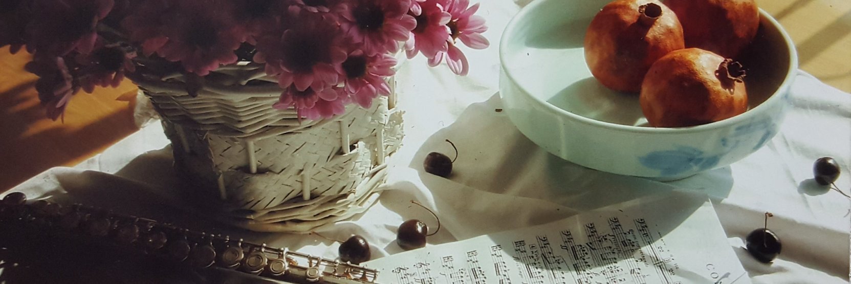 정상적인 민주 국가로 갑시다. banner