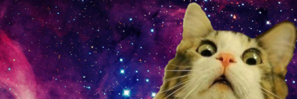 wilde_laurel's profile banner image