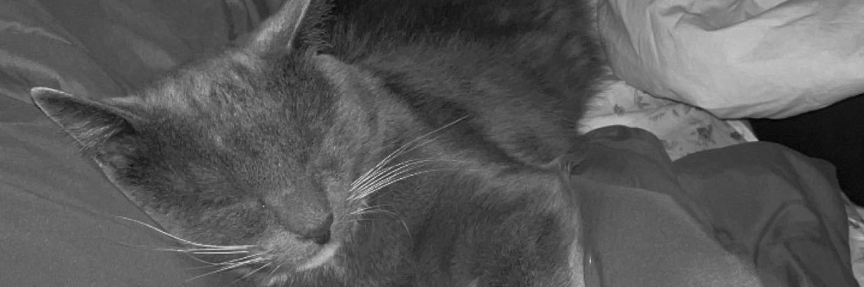 Lolbackwards's profile banner image