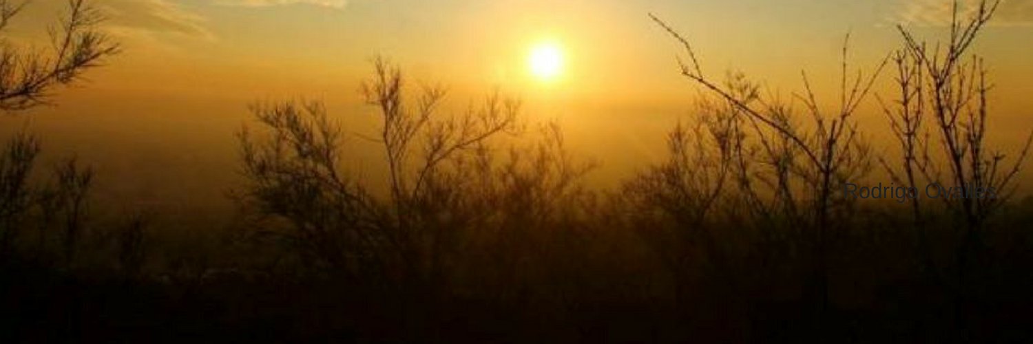 gisell_v's profile banner image