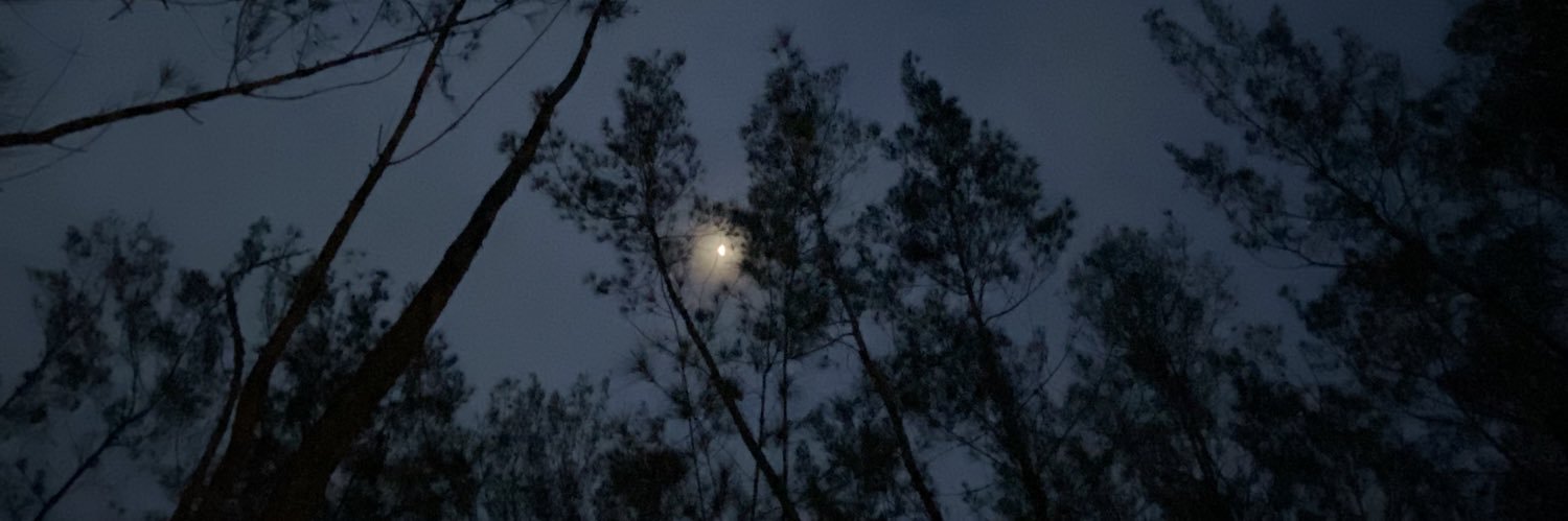 daeluu's profile banner image