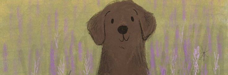 marisolglz_'s profile banner image